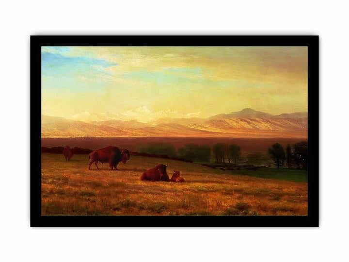 Buffalo on the Plains, c.1890