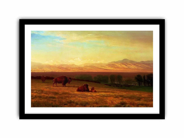 Buffalo on the Plains, c.1890