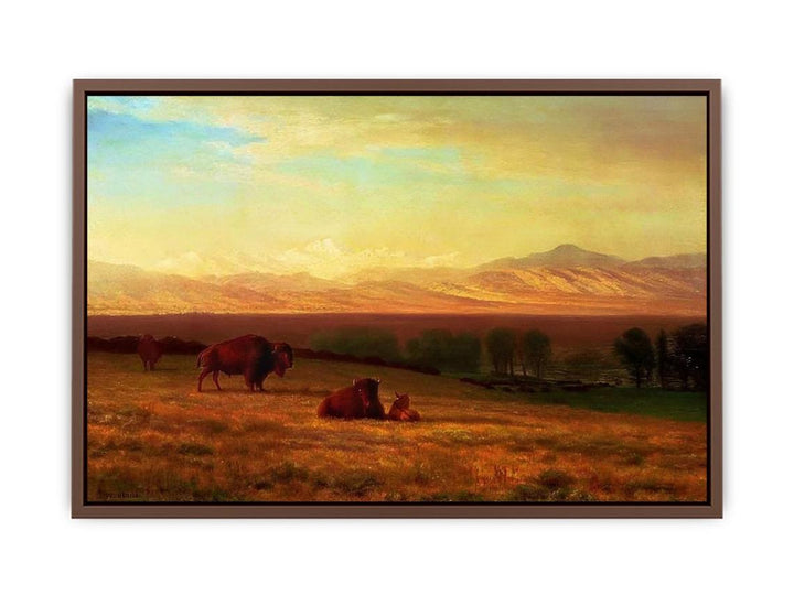 Buffalo on the Plains, c.1890