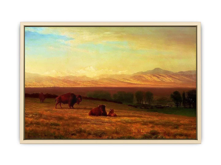 Buffalo on the Plains, c.1890