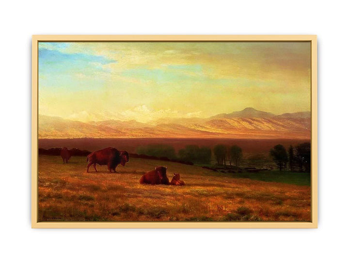 Buffalo on the Plains, c.1890