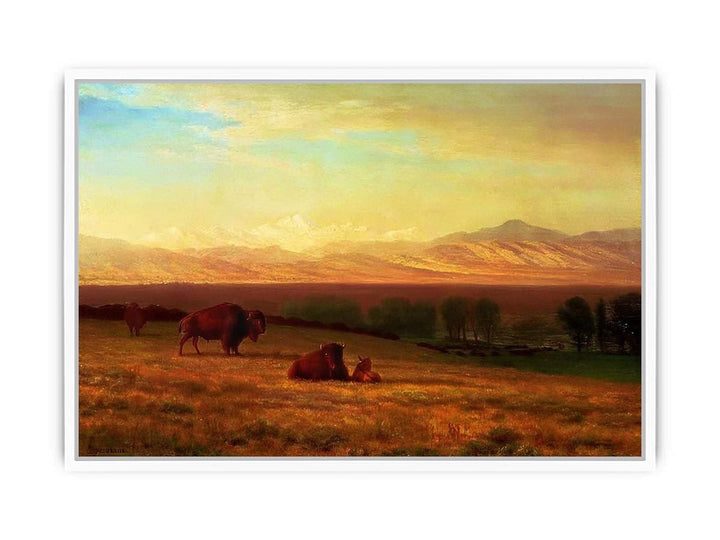 Buffalo on the Plains, c.1890