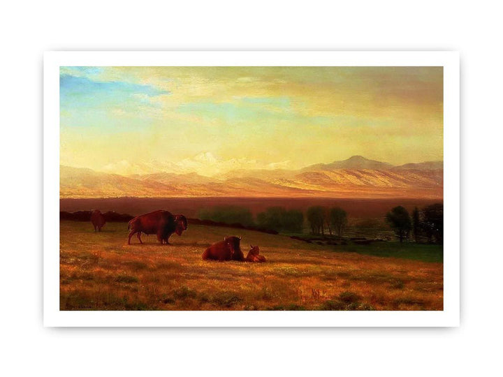 Buffalo on the Plains, c.1890