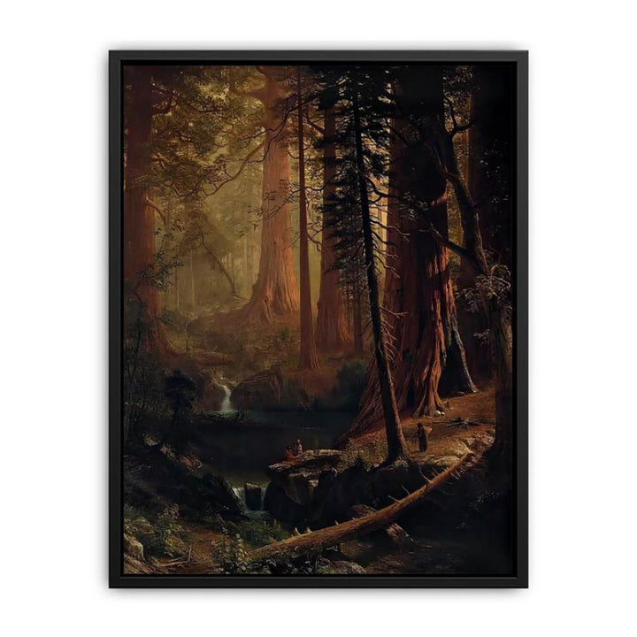 Giant Redwood Trees of California