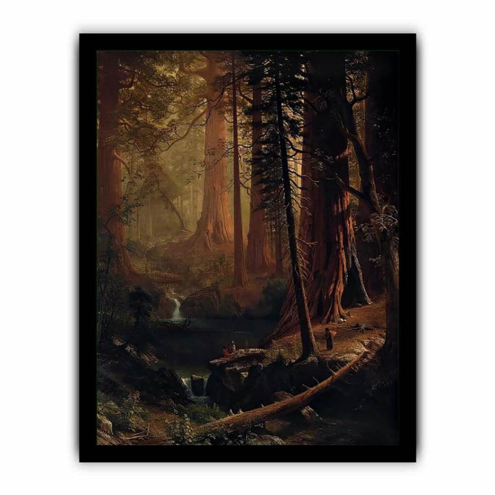 Giant Redwood Trees of California