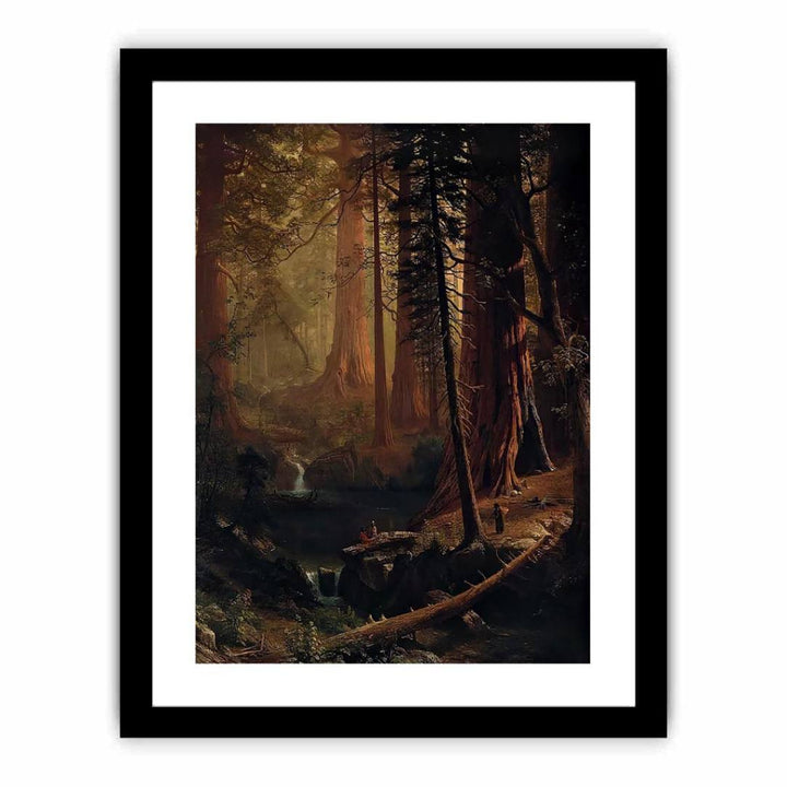 Giant Redwood Trees of California