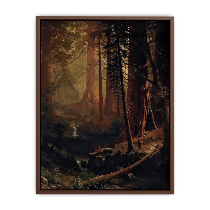 Giant Redwood Trees of California