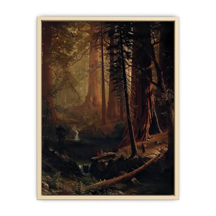 Giant Redwood Trees of California