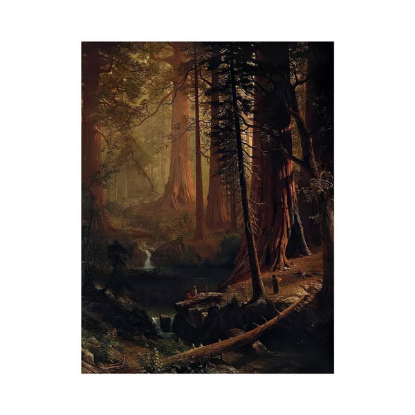 Giant Redwood Trees of California