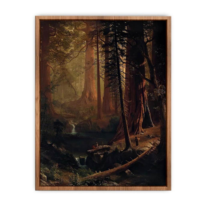 Giant Redwood Trees of California