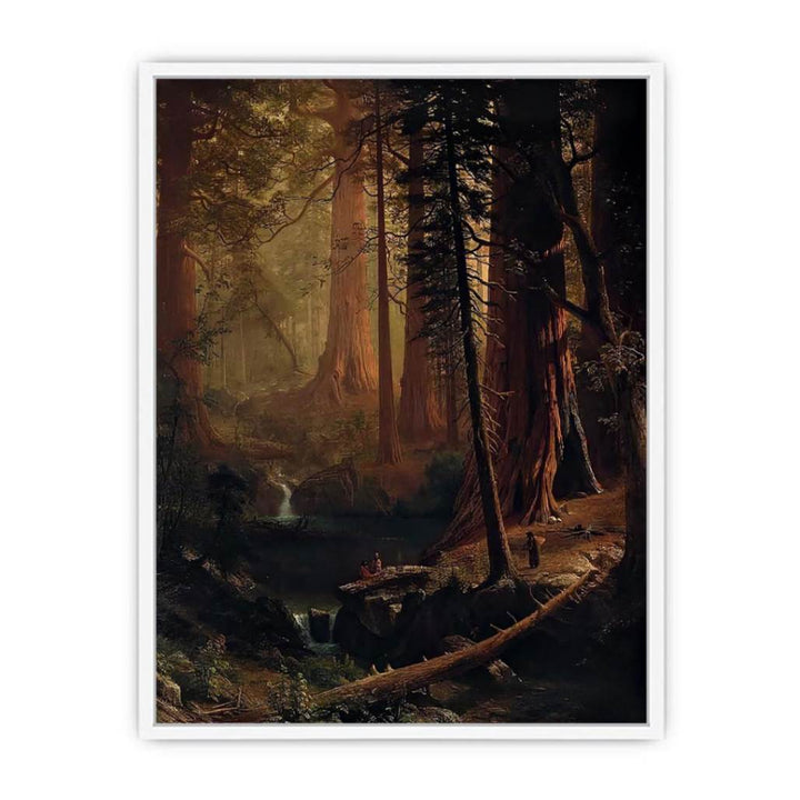 Giant Redwood Trees of California