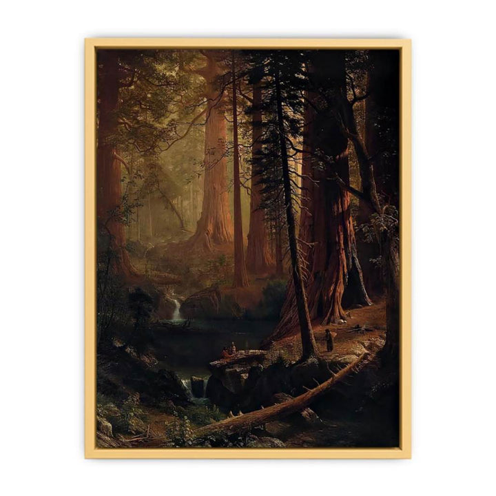Giant Redwood Trees of California
