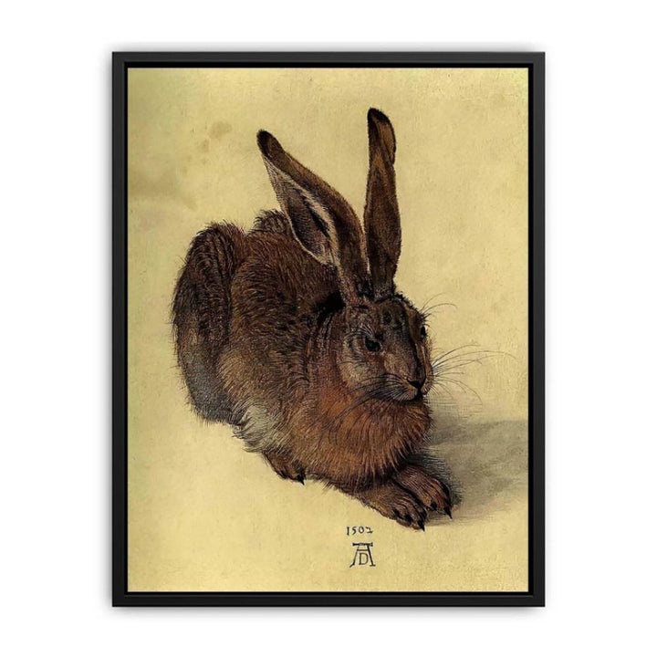 Young Hare I