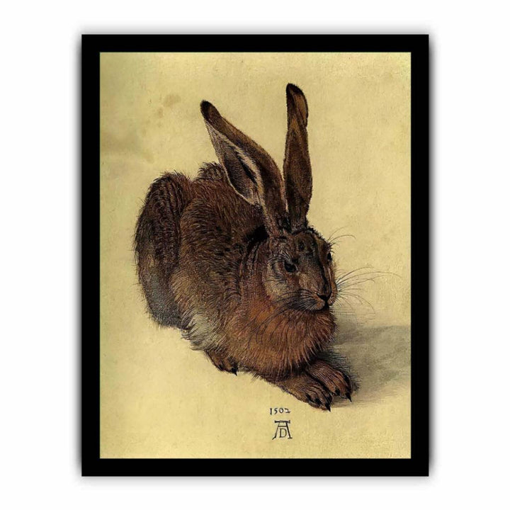 Young Hare I