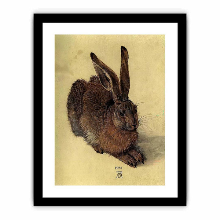 Young Hare I