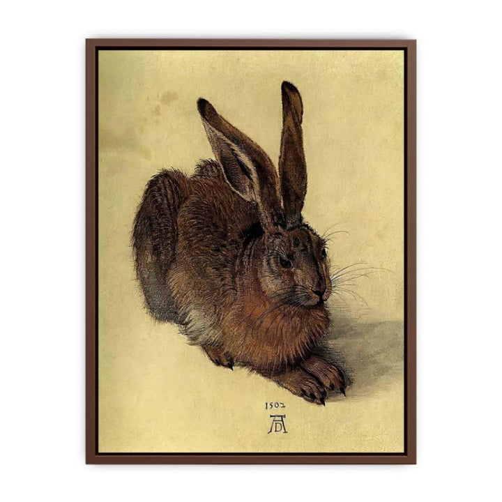 Young Hare I