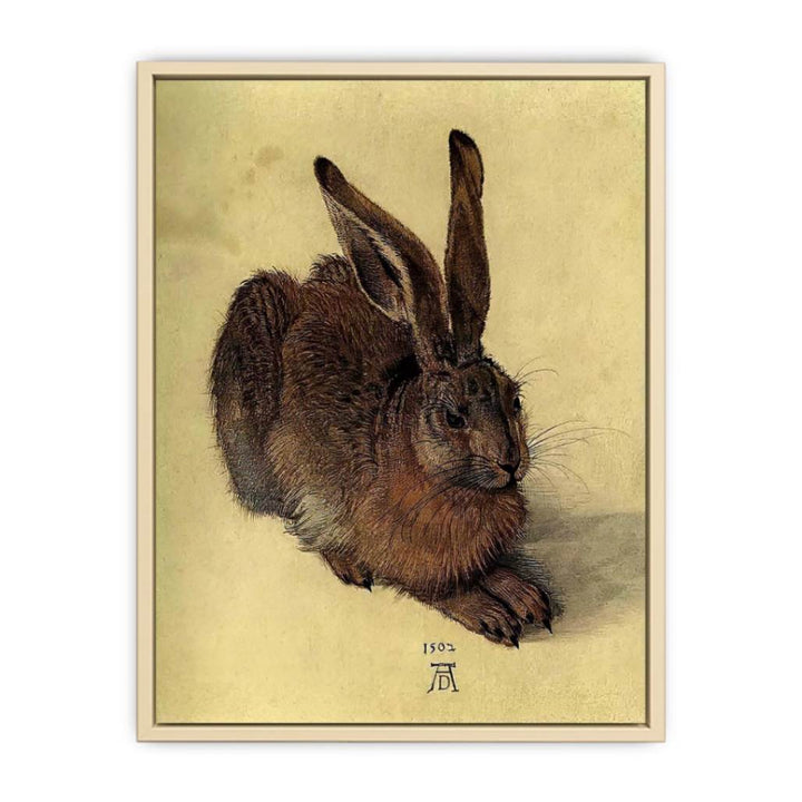 Young Hare I