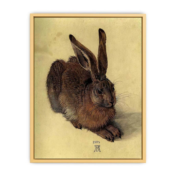 Young Hare I