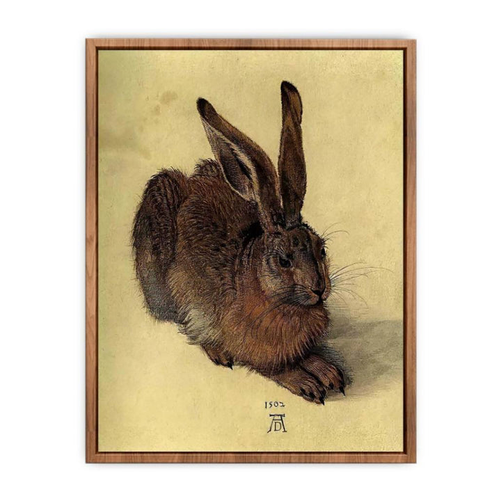 Young Hare I