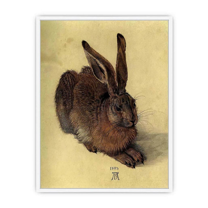 Young Hare I