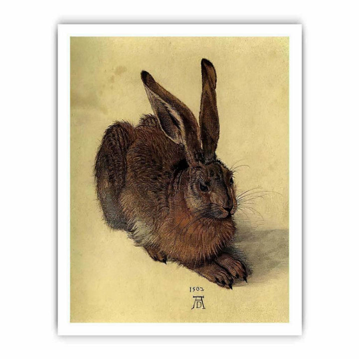 Young Hare I
