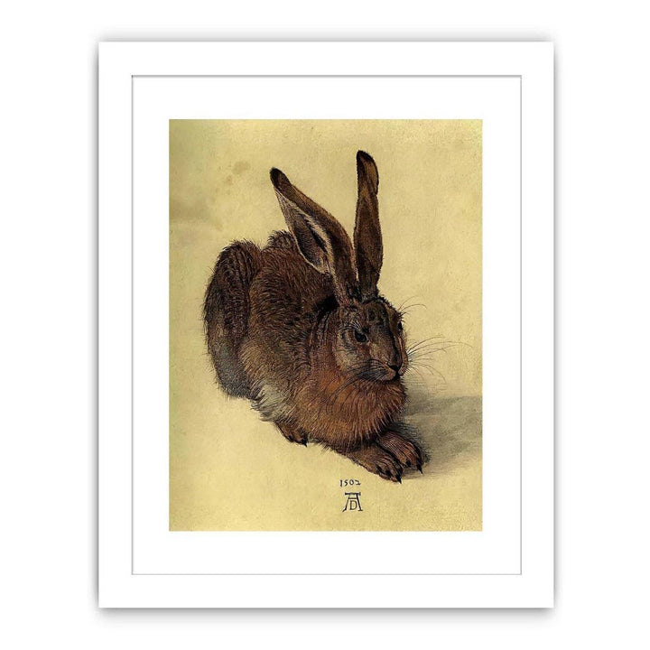 Young Hare I