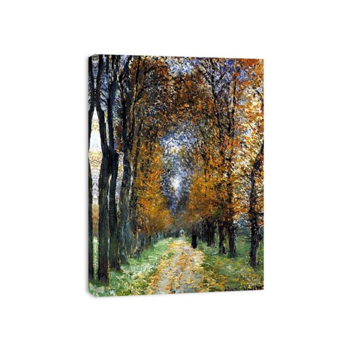 The Avenue