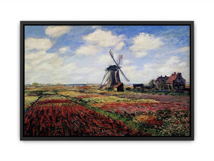 Field Of Tulips In Holland