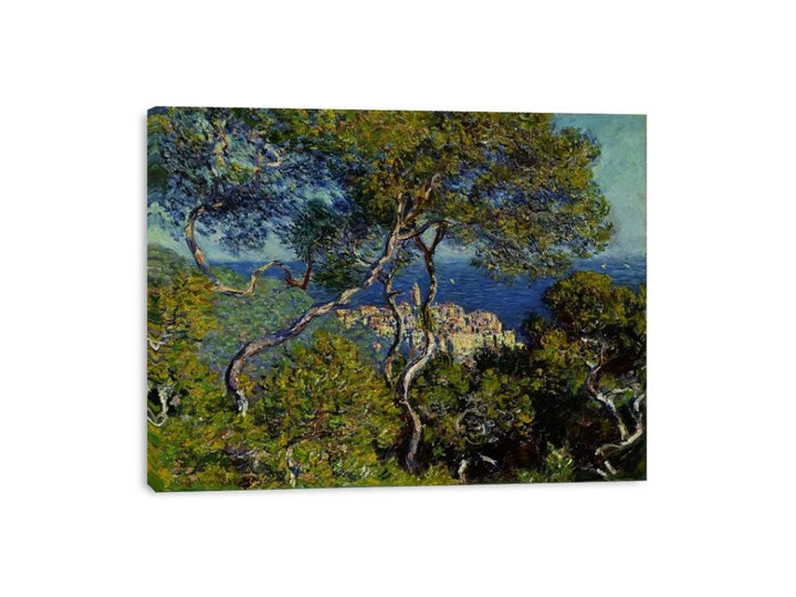 Bordighera 1