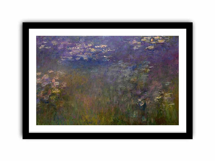 Agapanthus (center panel)