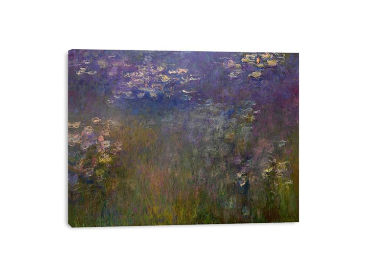 Agapanthus (center panel)