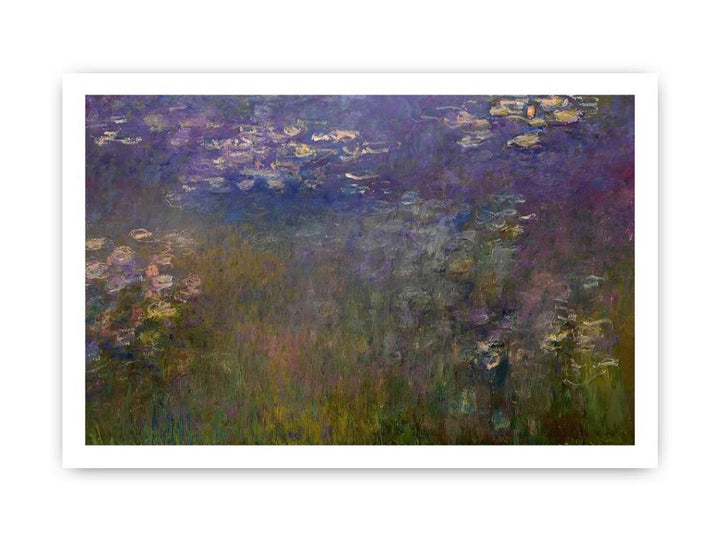 Agapanthus (center panel)