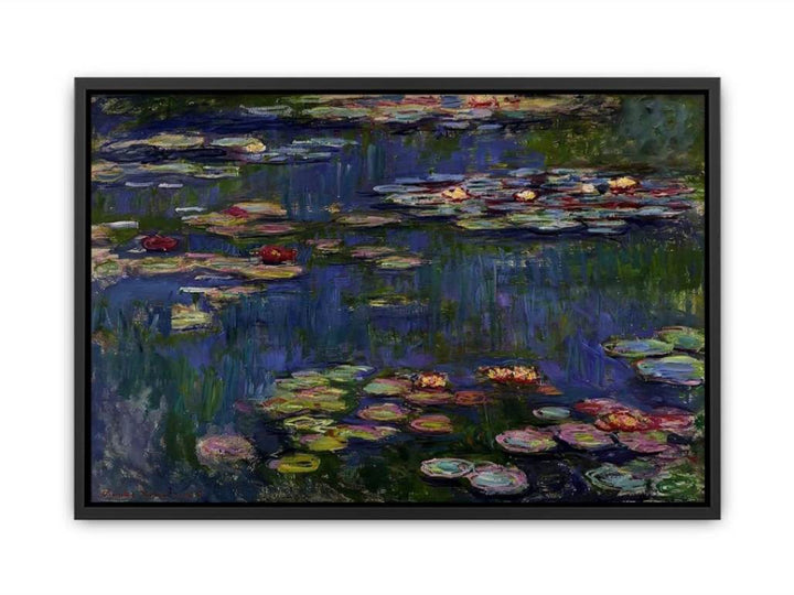 Water Lilies