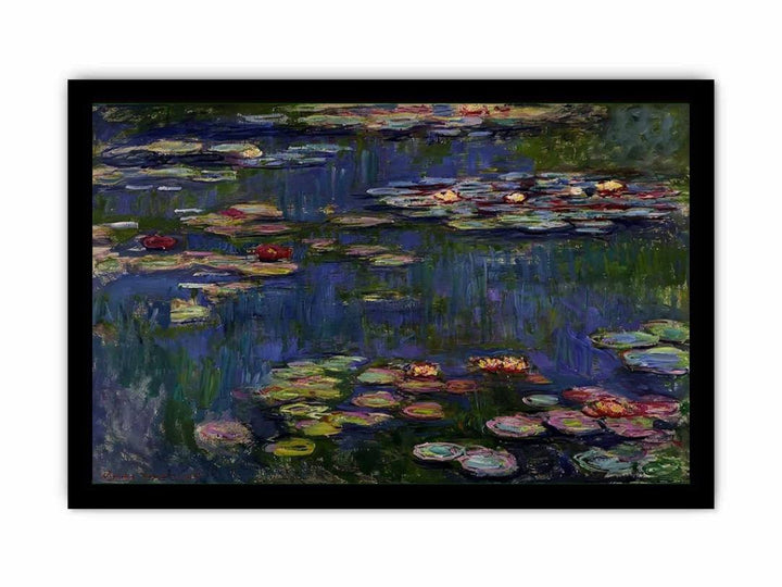 Water Lilies