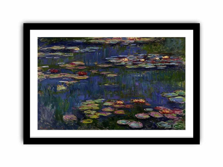 Water Lilies