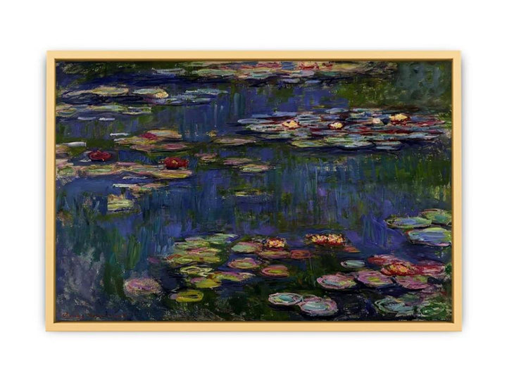 Water Lilies