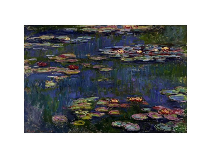 Water Lilies