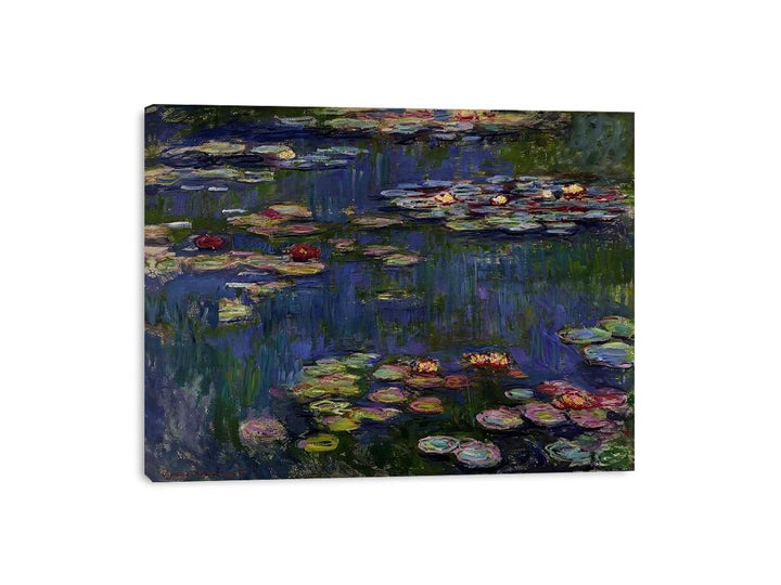 Water Lilies