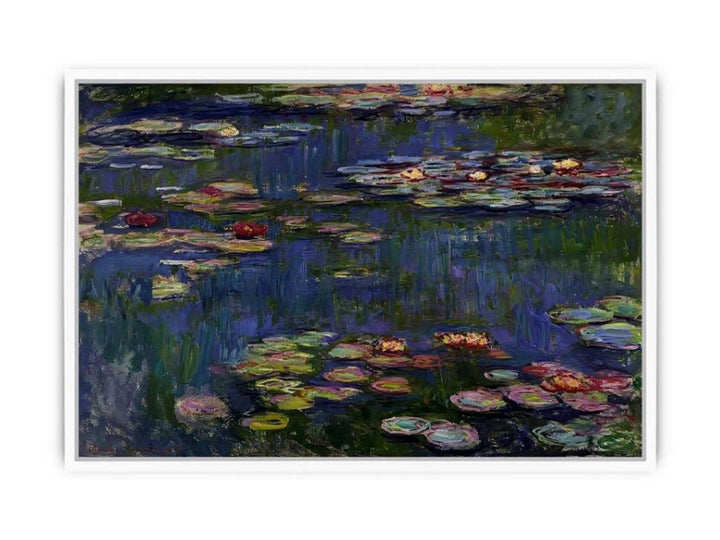 Water Lilies