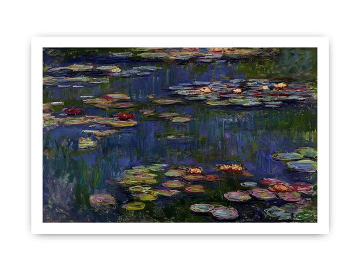 Water Lilies
