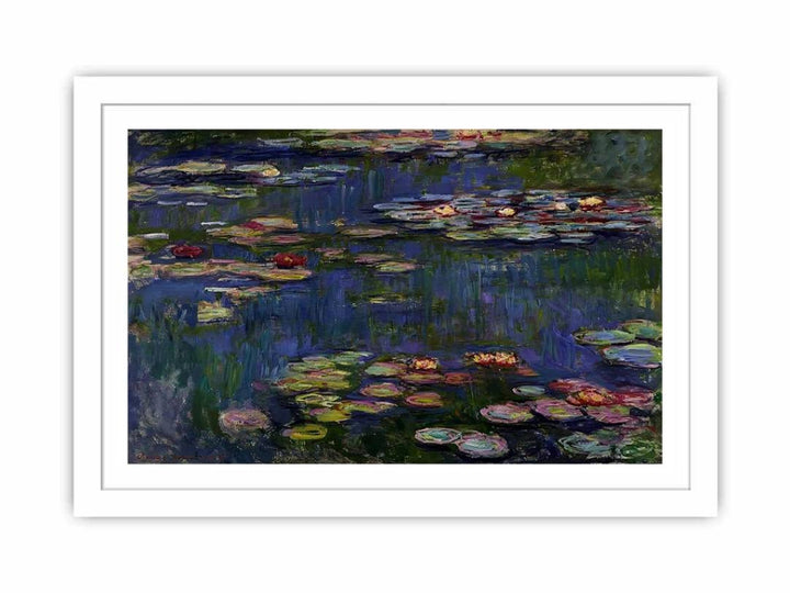 Water Lilies