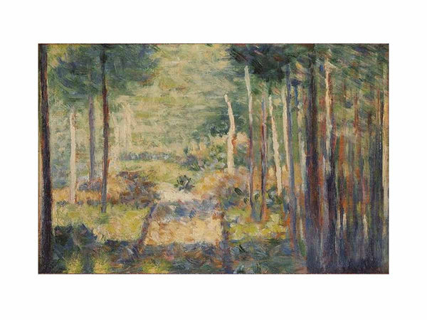 Forest Path, Barbizon