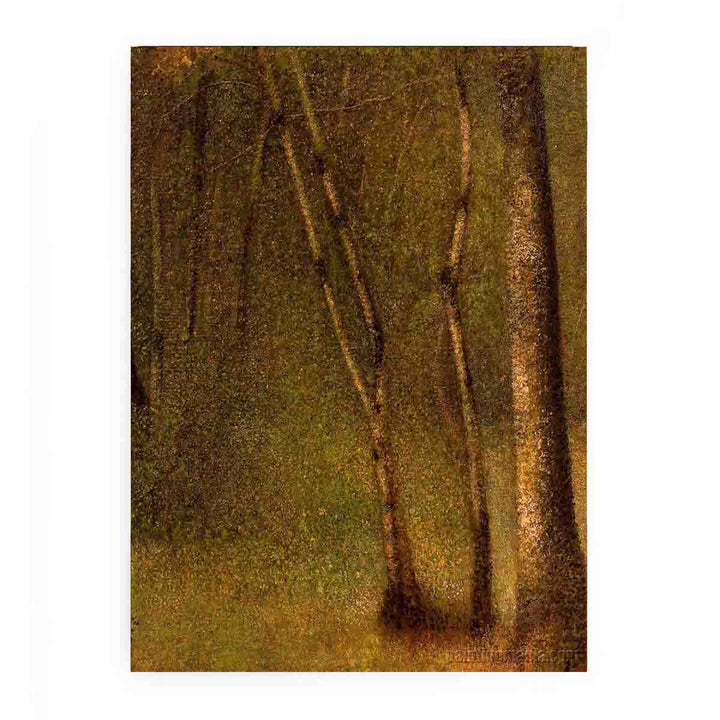 In the Woods at Pontaubert