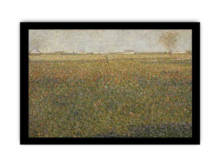 Alfalfa Fields, Saint-Denis