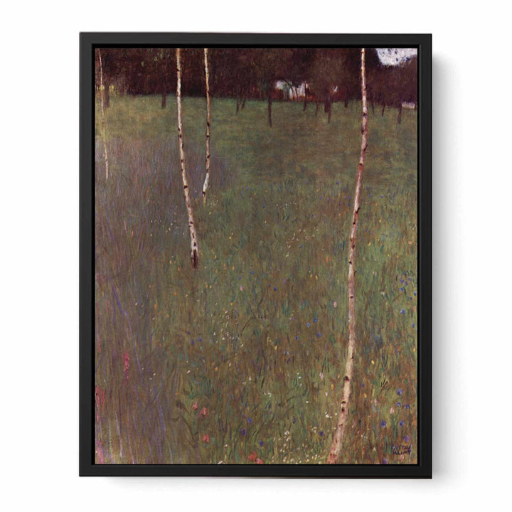 Farmhouse With Birches