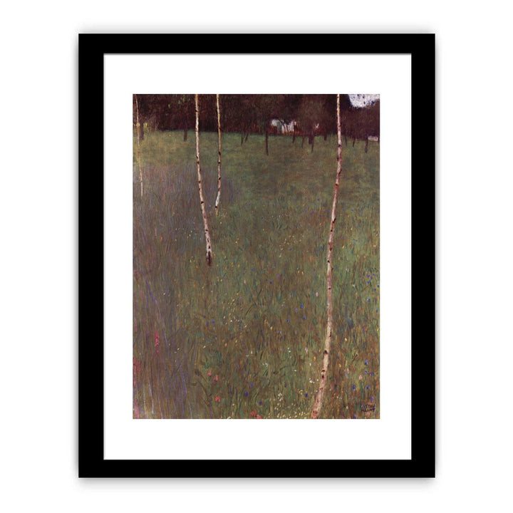 Farmhouse With Birches