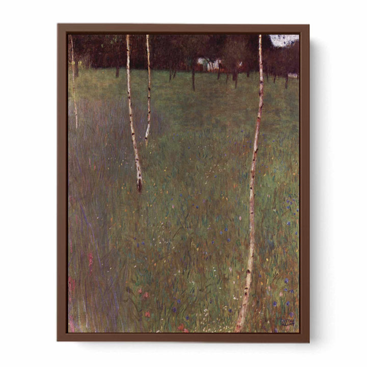 Farmhouse With Birches