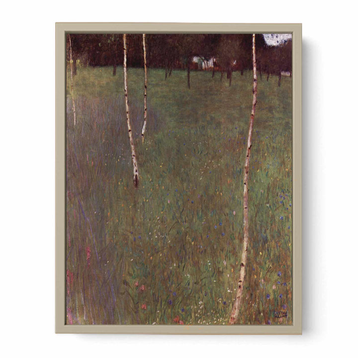 Farmhouse With Birches