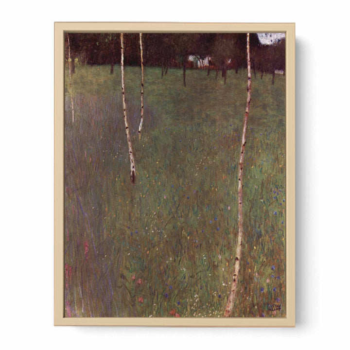 Farmhouse With Birches
