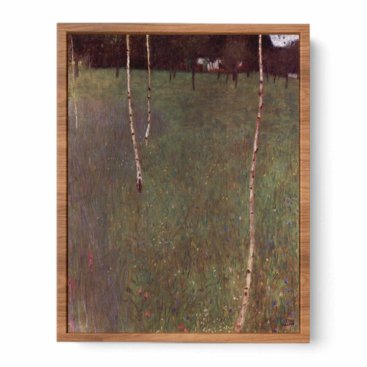 Farmhouse With Birches